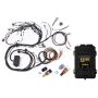 Haltech HT-151306 Elite 2500 Terminated Engine Harness ECU Kit