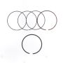 Athena S41316029 Piston Ring Sets