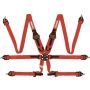RACEQUIP RQP855015 6pt Harness Camlock P/D HNR Red FIA