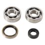 Hot Rods K083 13-21 KTM 50 SX 50cc Main Bearing & Seal Kit