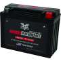 TwinPower 485006 High Performance Batteries