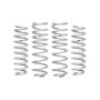Eibach Springs E30-27-011-01-22 PRO-LIFT-KIT Springs (Front & Rear Springs)