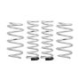 Eibach Springs E30-77-010-04-22 Pro-Lift-Kit Springs (Front & Rear Springs)