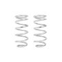 Eibach Springs E30-82-072-04-02 Pro-Lift-Kit Hd Springs (Rear Springs Only)