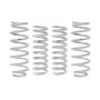 Eibach Springs E32-27-004-02-22 Drag-Launch Kit (Performance Springs)