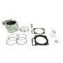 Athena P400210100060 Big Bore Cylinder Kits