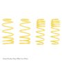 Suspension (68922 ST MUSCLE CAR SPRING)