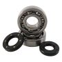 Hot Rods K226 80-86 KX 250 Main Bearing & Seal Kit