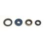 Athena P400250400030 Engine Oil Seal Kits