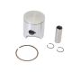 Athena S4C048000030 Cast Pistons