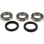 Pivot Works PWRWK-S22-400 Wheel Bearing Kit