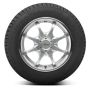 General 205/55r16 91q Gen Altimax Arctic