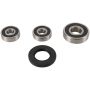 Pivot Works PWRWS-S02-000 91-97 Suzuki GSX250 (Euro) PW Rear Wheel Bearing Kit