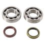Hot Rods K074 10-20 Suzuki RM-Z 250 250cc Main Bearing & Seal Kit