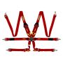 6 Point Harness System Cam Lock Red