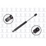 FCS Struts 84120 Trunk Lid Lift Support