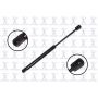 FCS Struts 84143 Hood Lift Support