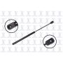 FCS Struts 86902 Trunk Lid Lift Support