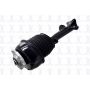 FCS Struts 92016 Electronic Air Suspension Strut Assembly