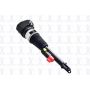 FCS Struts 92022 Electronic Air Suspension Strut Assembly