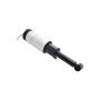 FCS Struts 99045 Electronic Air Suspension Strut Assembly