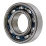 Schaeffler 6004-RSR Schaeffler Radial Insert Ball Bearing