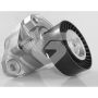 Hutchinson T0619 Poly V® tensioner