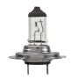Hella H7LL HELLA H7LL Long Life Series Halogen Light Bulb