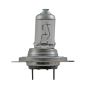 Hella H7P50 HELLA H7P50 Performance Series Halogen Light Bulb