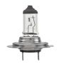 Hella H7TB HELLA H7TB Standard Series Halogen Light Bulb
