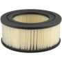 HASTINGS FILTERS PA696 Air Element
