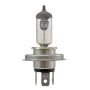 Hella HS1 HELLA HS1 Standard Series Halogen Light Bulb