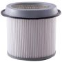 PARTS PLUS AF252 Engine Air Filter