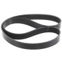 INA FB7K443 INA BDC FEAD multi V-Belt