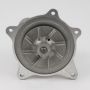 IAP 542-04230 Engine Water Pump Caravan 3.3 2001-04