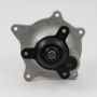 IAP 542-04230 Engine Water Pump Caravan 3.3 2001-04