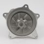 IAP 542-04230 Engine Water Pump Caravan 3.3 2001-04