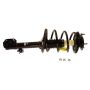 KYB SHOCKS SR4146 3 Nuts
