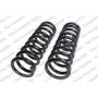 LESJOFORS 4112109 Two Front Coil Springs