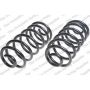 LESJOFORS 4155400 Two Front Coil Springs