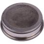 SKF LM67010BCE Tapered Roller Bearing Race