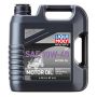 LIQUI MOLY 20176 ATV 4T Motoroil SAE 10W-40