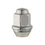Ford Racing M-1012-A Ford Performance Lug Nut Kit