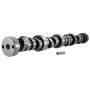 Ford Racing M-6250-E303 Small Block V-8 Hydraulic Roller Tappet Camshafts
