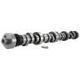 Ford Racing M-6250-E303 Small Block V-8 Hydraulic Roller Tappet Camshafts
