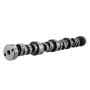 Ford Racing M-6250-F303 Small Block V-8 Hydraulic Roller Tappet Camshafts