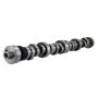 Ford Racing M-6250-F303 Small Block V-8 Hydraulic Roller Tappet Camshafts
