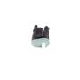 Mopar 04627694AB VALVE, Purge Control
