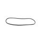 Mopar 55399256AE WEATHERSTRIP, Front Door Secondary