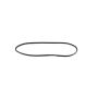 Mopar 55399256AE WEATHERSTRIP, Front Door Secondary